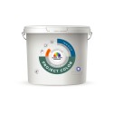 Project Color  - Global Paint